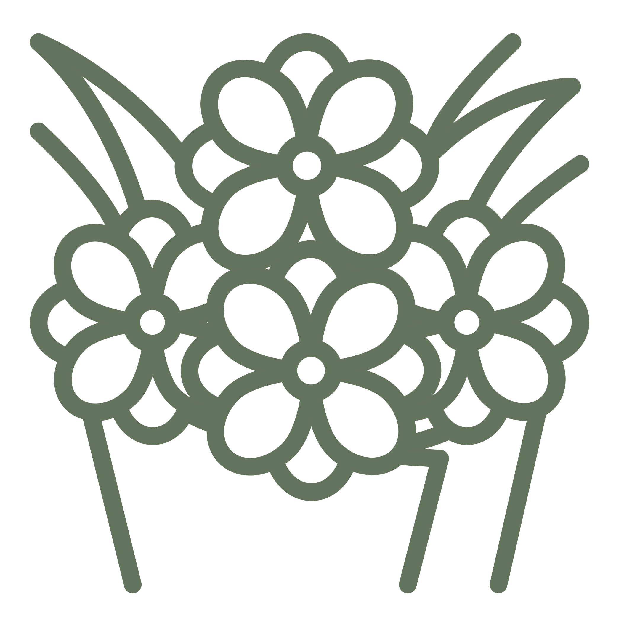 bouquet abonnement bouquet abonnement