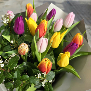 Bouquet de tulipes assorties