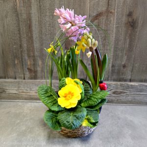 Composition printanière de plantes