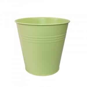 Pot zinc Orchidée Fleuriste Sète Amazonie