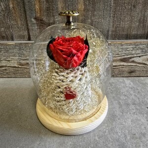 Cloche Rose éternelle Fleuriste Sète Amazonie