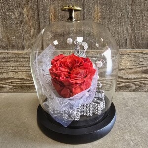 Cloche Rose éternelle Fleuriste Sète Amazonie