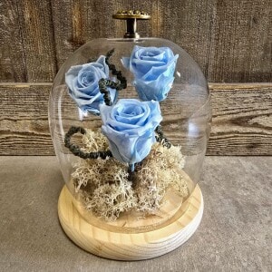 Roses éternelles sous cloche Fleuriste Sète Amazonie