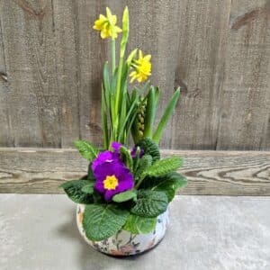 Composition printanière de plantes