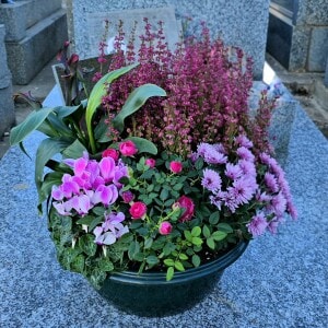 Coupe de plantes tons roses