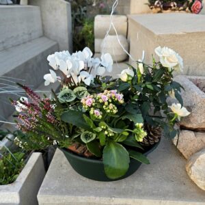 Coupe de plantes blanc et rose