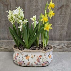 Jardinière de plantes à bulbes