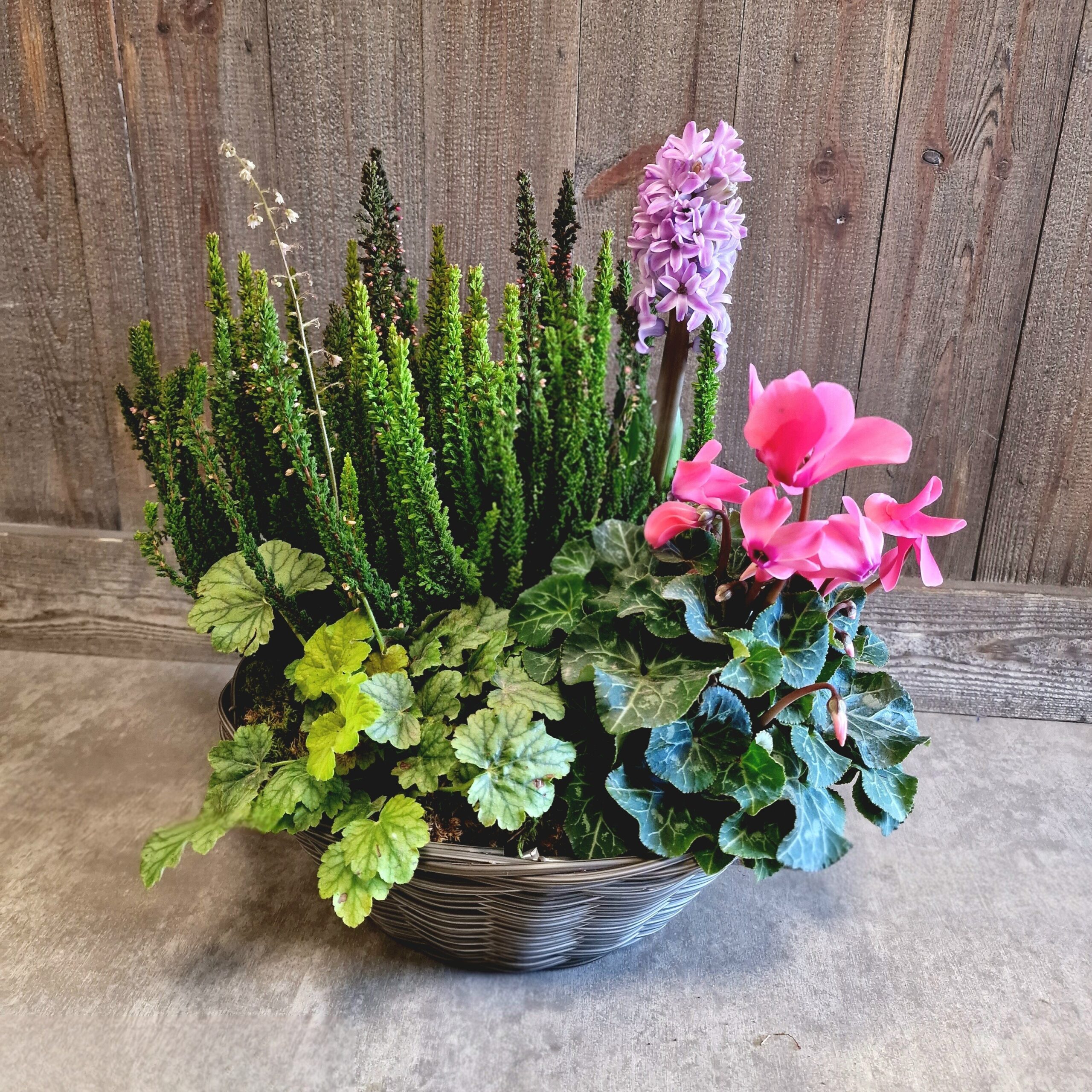 Panier de plantes fleuries tons roses